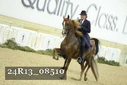 24R13_08510 thumbnail