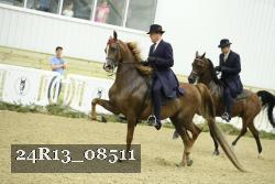 24R13_08511 thumbnail