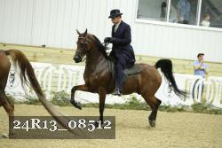 24R13_08512 thumbnail
