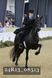 24R13_08513 thumbnail