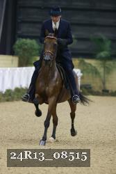 24R13_08515 thumbnail