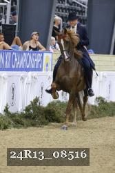 24R13_08516 thumbnail