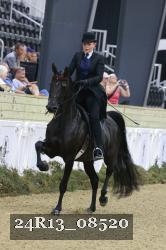 24R13_08520 thumbnail