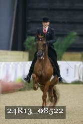 24R13_08522 thumbnail