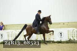 24R13_08523 thumbnail