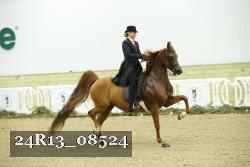 24R13_08524 thumbnail