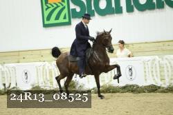 24R13_08525 thumbnail
