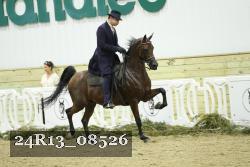 24R13_08526 thumbnail