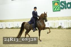 24R13_08528 thumbnail