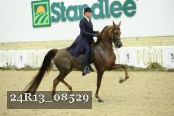 24R13_08529 thumbnail
