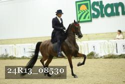 24R13_08530 thumbnail