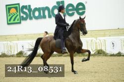 24R13_08531 thumbnail