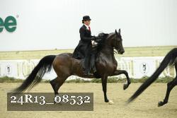 24R13_08532 thumbnail