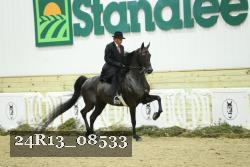 24R13_08533 thumbnail