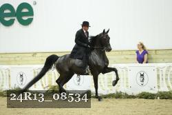 24R13_08534 thumbnail