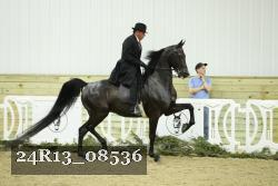 24R13_08536 thumbnail