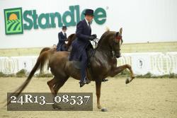 24R13_08537 thumbnail