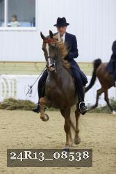 24R13_08538 thumbnail