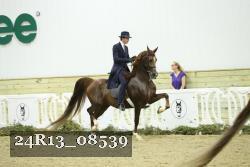24R13_08539 thumbnail