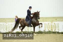 24R13_08540 thumbnail