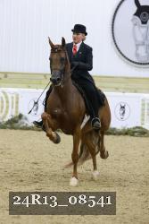 24R13_08541 thumbnail