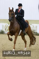 24R13_08542 thumbnail