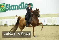 24R13_08543 thumbnail