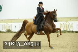 24R13_08544 thumbnail