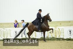 24R13_08546 thumbnail