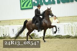 24R13_08547 thumbnail
