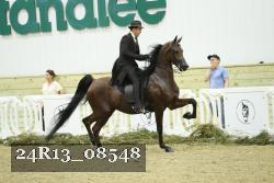 24R13_08548 thumbnail
