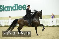 24R13_08549 thumbnail