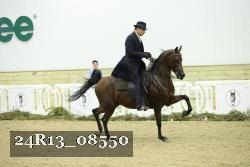 24R13_08550 thumbnail