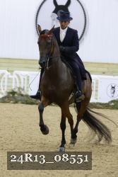 24R13_08551 thumbnail