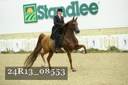 24R13_08553 thumbnail