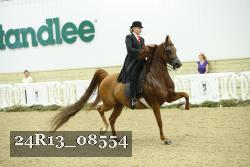 24R13_08554 thumbnail