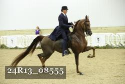 24R13_08555 thumbnail