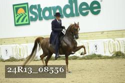 24R13_08556 thumbnail