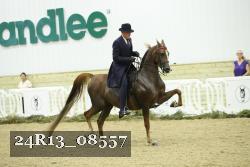 24R13_08557 thumbnail