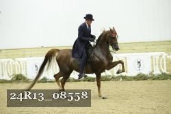 24R13_08558 thumbnail