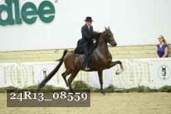 24R13_08559 thumbnail