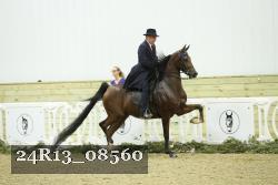 24R13_08560 thumbnail