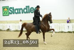 24R13_08561 thumbnail