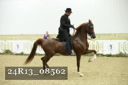 24R13_08562 thumbnail