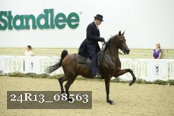 24R13_08563 thumbnail