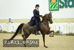 24R13_08564 thumbnail