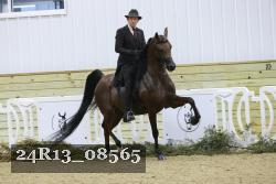 24R13_08565 thumbnail