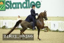24R13_08566 thumbnail