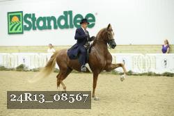 24R13_08567 thumbnail