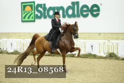 24R13_08568 thumbnail